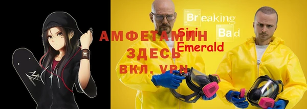 ПСИЛОЦИБИНОВЫЕ ГРИБЫ Абаза