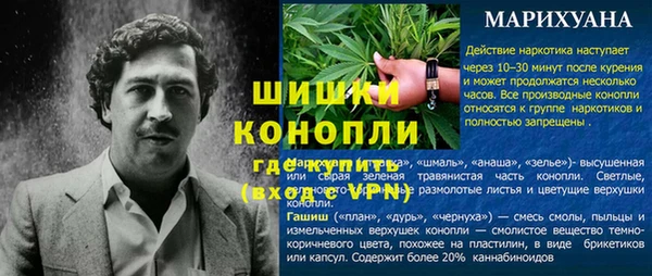 ПСИЛОЦИБИНОВЫЕ ГРИБЫ Абаза
