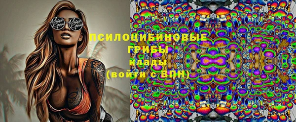 гашик Красноперекопск
