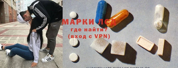 ПСИЛОЦИБИНОВЫЕ ГРИБЫ Абаза